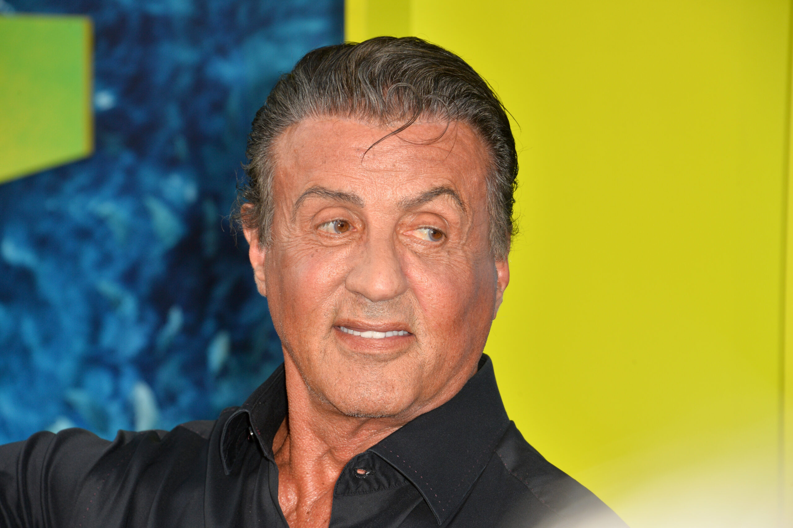 Sylvester Stallone red carpet