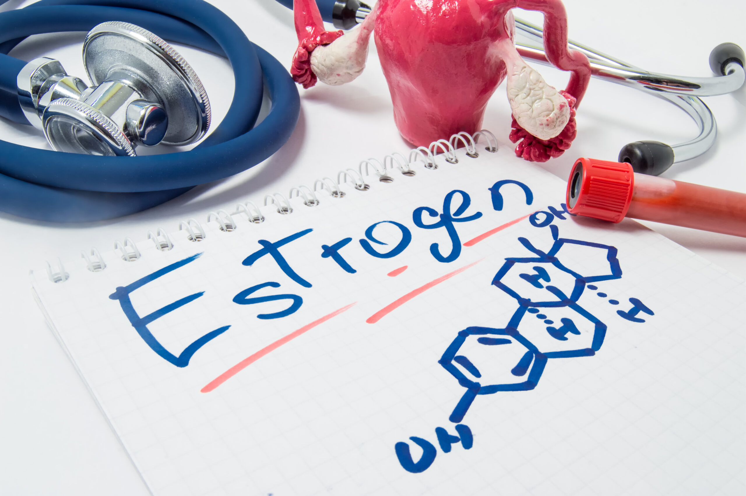 estrogen what is it and what dose it do in a woman's body