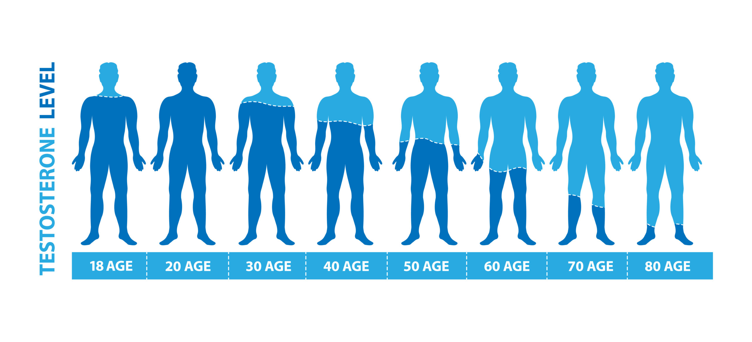 men's average testosterone levels by age,