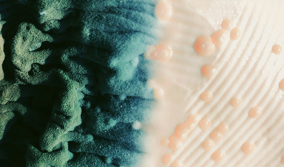 VIP Nasal Spray: A Promising Final Step for Healing Mold Exposure